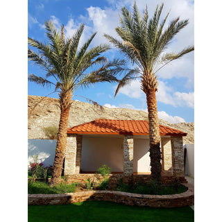 Coated Lightweight Tiles Piece Eco-friendly Stone Roofing Panel Zinc